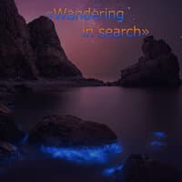 Wandering in Search