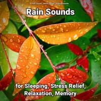 Rain Sounds for Sleeping, Stress Relief, Relaxation, Memory