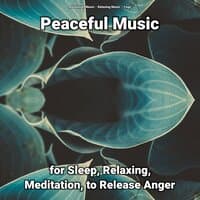 Peaceful Music for Sleep, Relaxing, Meditation, to Release Anger