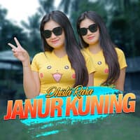 Janur Kuning