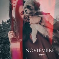 Noviembre