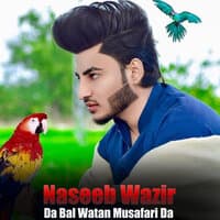 Da Bal Watan Musafari Da