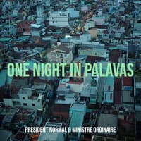 One Night in Palavas