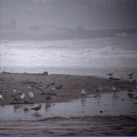 A Stormy Day at the Beach