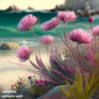 Sea Pinks