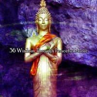 36 Wisdom Through Peaceful Music