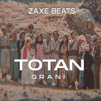 Totan - Grani