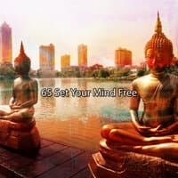 65 Set Your Mind Free