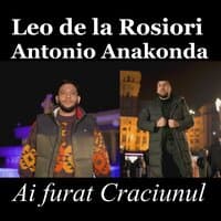 Ai furat Craciunul