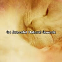 64 Graceful Natural Sounds