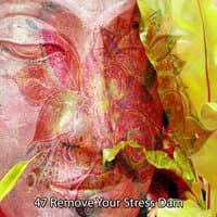 47 Remove Your Stress Dam