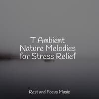 T Ambient Nature Melodies for Stress Relief