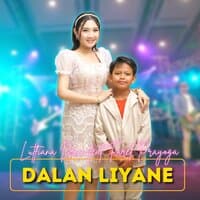 Dalan Liyane