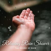 The Sound of Rain: Relaxing Rain Shower