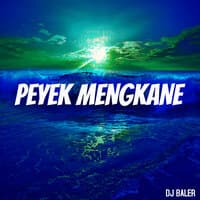 Peyek Mengkane