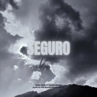 Seguro