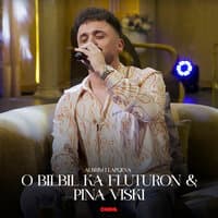 O bilbil ka fluturom & Pina viski