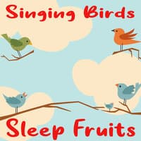 Singing Birds Sleep Fruits (ASMR-Sounds, Birds & Nature Noise for Relaxation and Better Sleep)