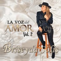 La Voz Del Amor, Vol. 2