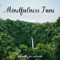 Sounds of Nature: Mindfulness Tune