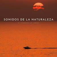 Sonidos De La Naturaleza: El Atardecer De Verano