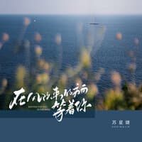 在风吹来的方向等着你