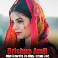 Che Bewafa Da Cha Janan She