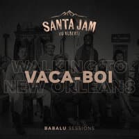 Vaca-Boi / Walking to New Orleans