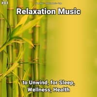 #01 Relaxation Music to Unwind, for Sleep, Wellness, Health