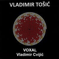 Vladimir Tošić: Voxal