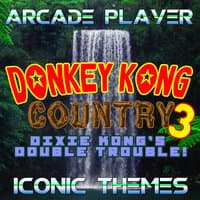 Donkey Kong Country 3, Dixie Kong's Double Trouble! (Iconic Themes)