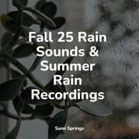 25 Loopable Rainfall Album