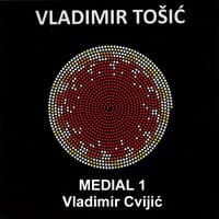 Vladimir Tošić: Medial I