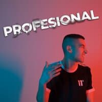 Profesional