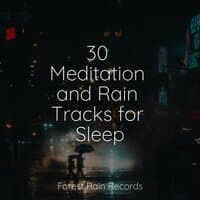 30 Meditation and Rain Tracks for Sleep