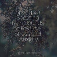 Spring 40 Soothing Rain Sounds to Reduce Stress and Anxiety