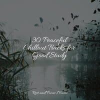 30 Peaceful Chillout Tracks for Good Study