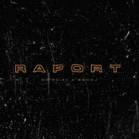 Raport