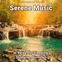 #01 Serene Music to Relax, for Sleeping, Studying, Burn Out