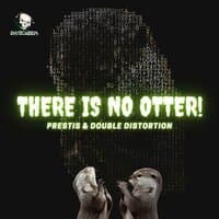 There Is No OTTER!