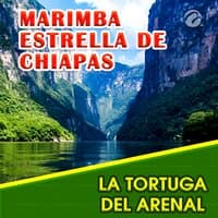 La Tortuga del Arenal