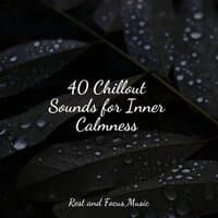 40 Chillout Sounds for Inner Calmness