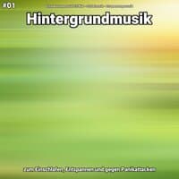 #01 Hintergrundmusik zum Einschlafen, Entspannen und gegen Panikattacken