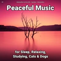 #01 Peaceful Music for Sleep, Relaxing, Studying, Cats & Dogs