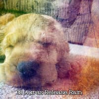 38 Auras Release Rain