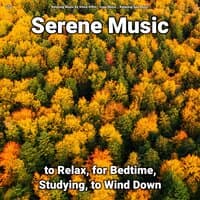 zZZz Serene Music to Relax, for Bedtime, Studying, to Wind Down