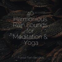 40 Harmonious Rain Sounds for Meditation & Yoga