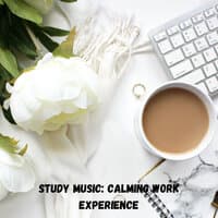 Study Music: Calming Work Experience