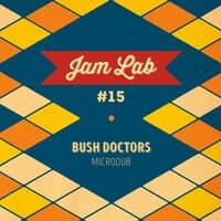 Bush Doctors Dub