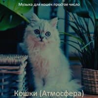 Музыка (Подчеркнутые кошки)